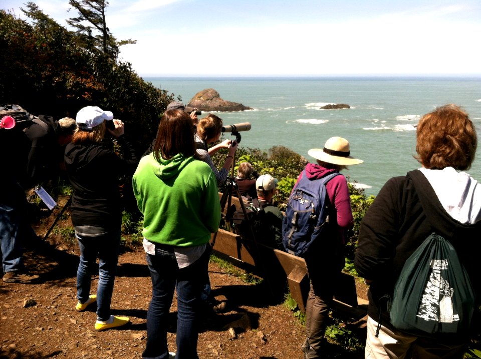 Birding at Trinidad Head in Arcata Field Office