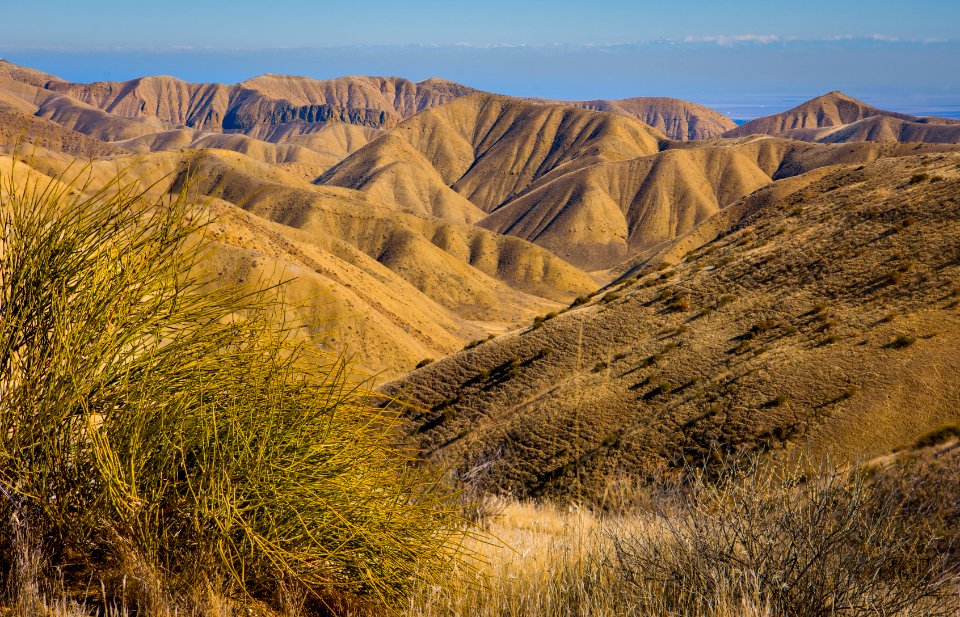 Panoche Hills Wilderness Study Area North