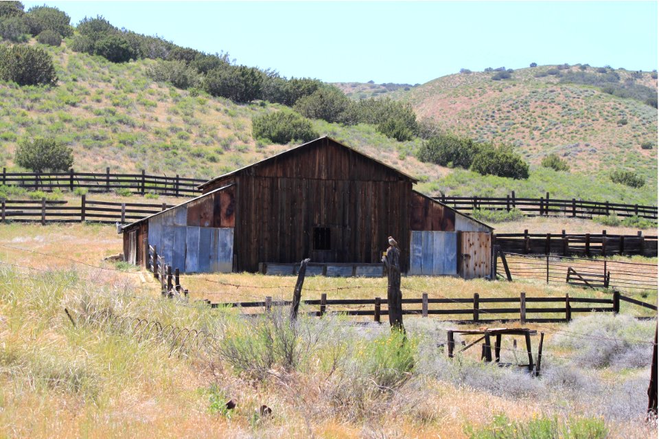 Barn near Selby Campground by Esther Livingston