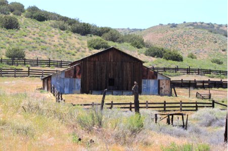 Barn near Selby Campground by Esther Livingston