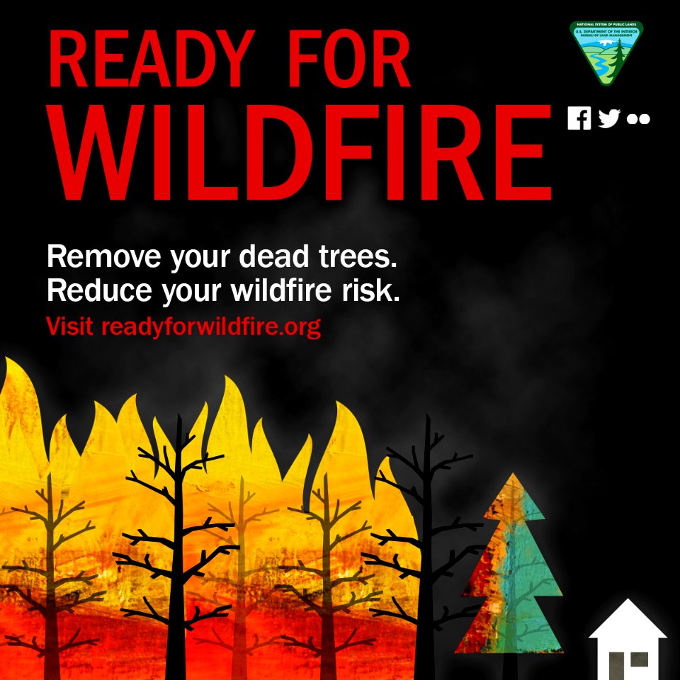 Ready for Wildfire: Tree Mortality