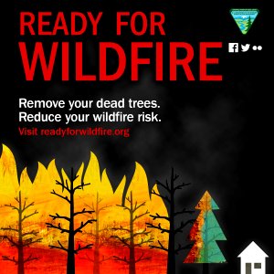 Ready for Wildfire: Tree Mortality