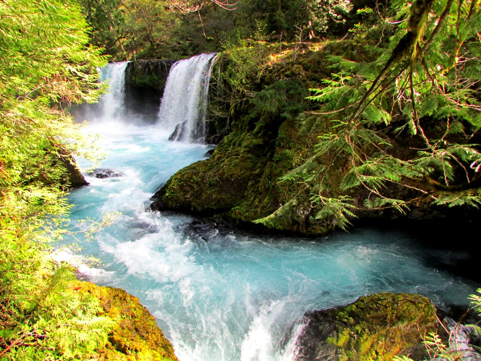 Spirit Falls Trail on Little White Salmon River in WA