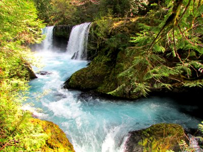 Spirit Falls Trail on Little White Salmon River in WA photo