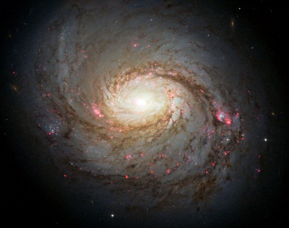 Hubble image of Messier 77