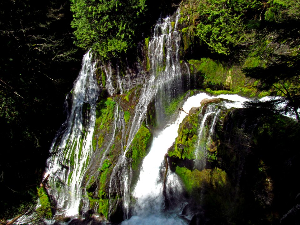 Panther Creek Falls Trail in WA