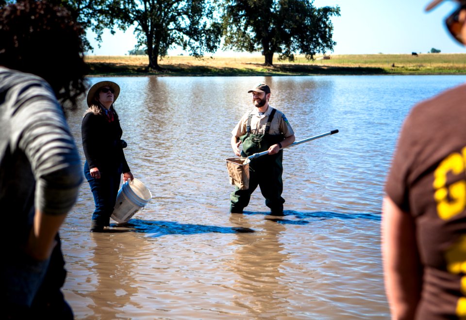 Teacher's Day - Cataloging aquatic species