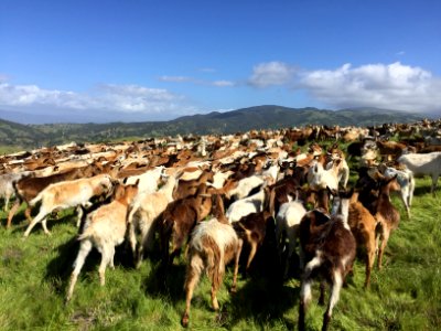 Fort Ord National Monument