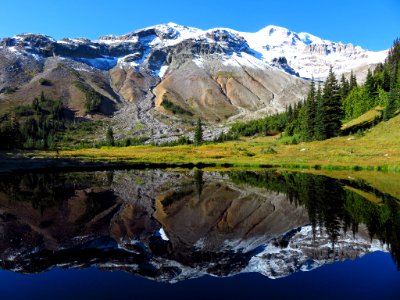 Glacier Basin Trail at Mt. Rainier NP in WA photo