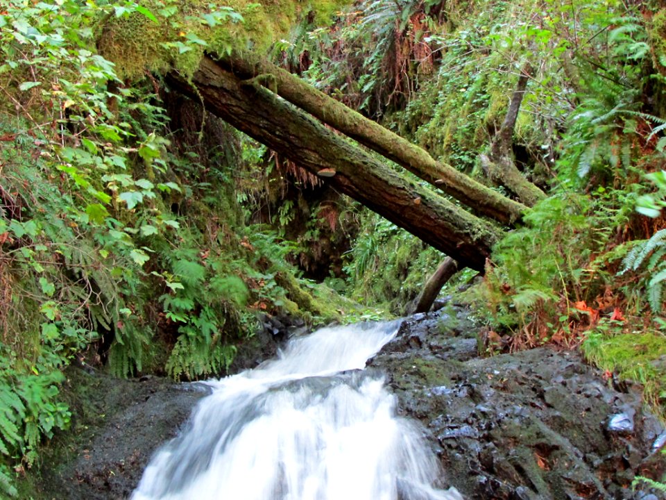 Waterfall at Columbia River Gorge in OR
