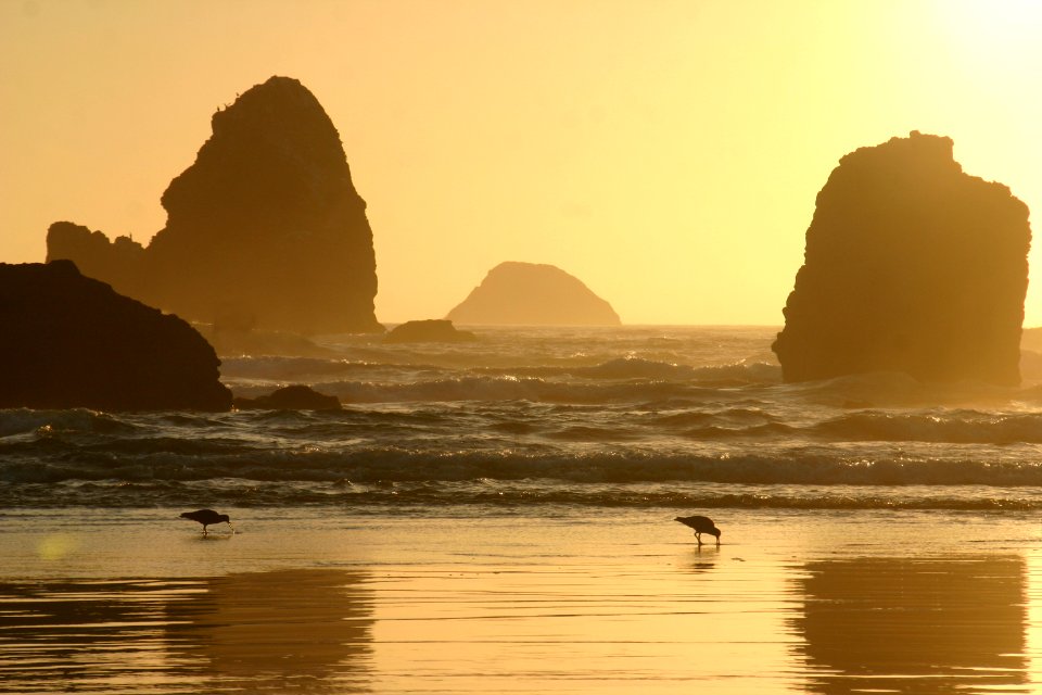 California Coastal National Monument at Trinidad Head