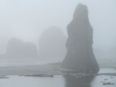 Ruby Beach at Olympic NP in WA