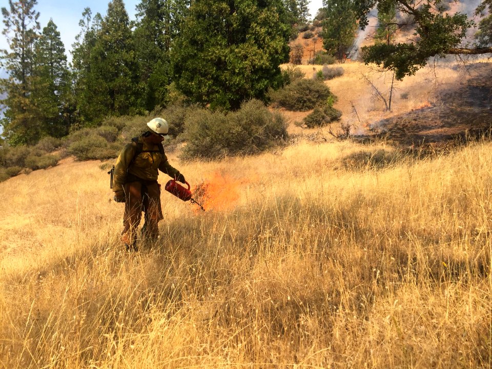 2016 Fire Season with the Folsom Lake Veterans' Fire Crew