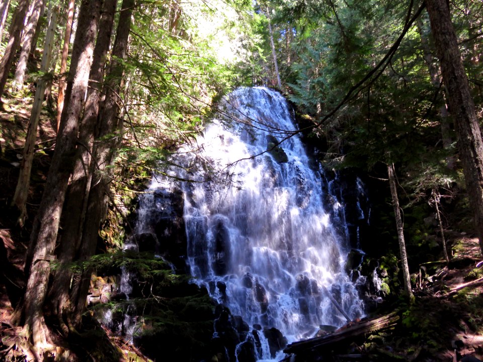 Ramona Falls Hike at Mt. Hood Wilderness in Oregon