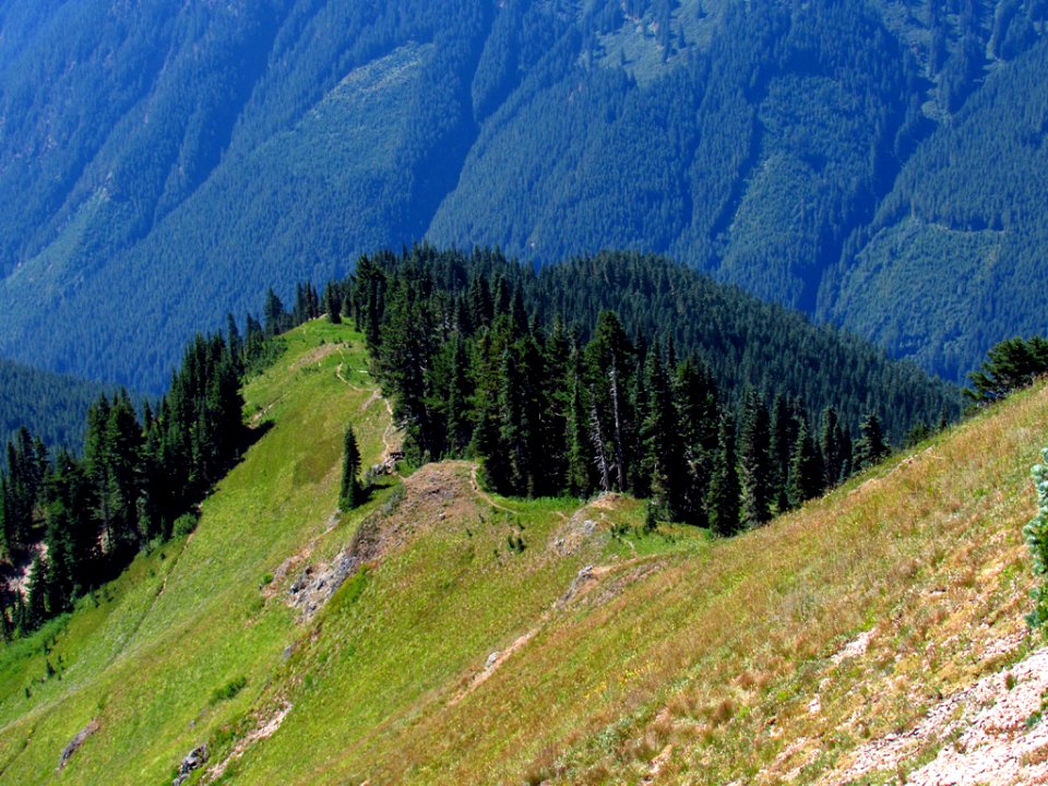 Tatoosh Wilderness in WA