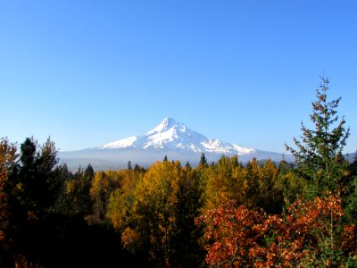 Autumn at Mt. Hood in OR photo