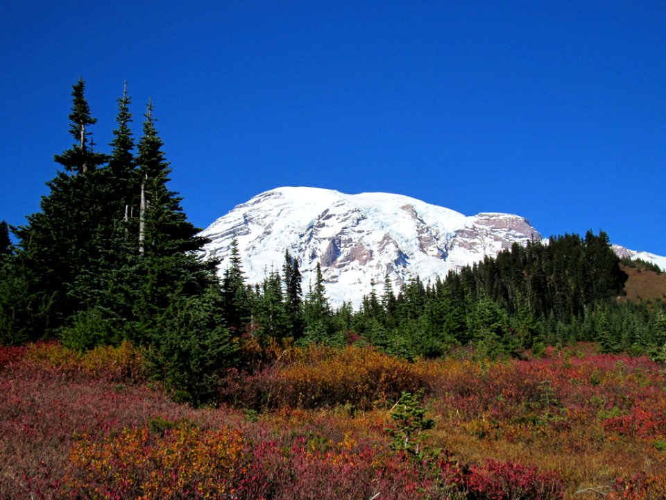 Autumn at Skyline Trail at Mt. Rainier NP in WA