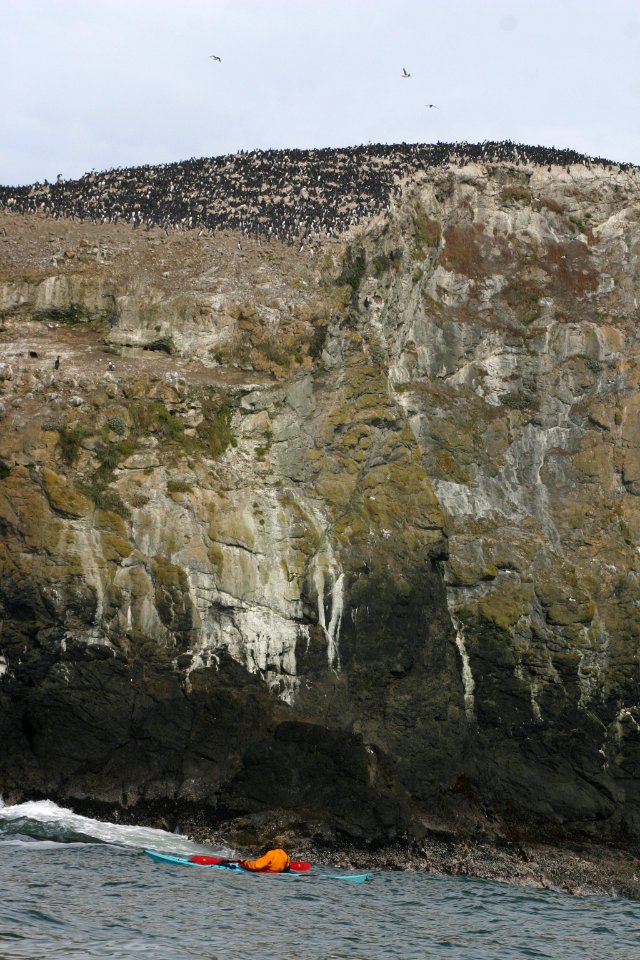 California Coastal National Monument at Trinidad Head