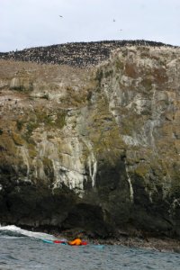 California Coastal National Monument at Trinidad Head