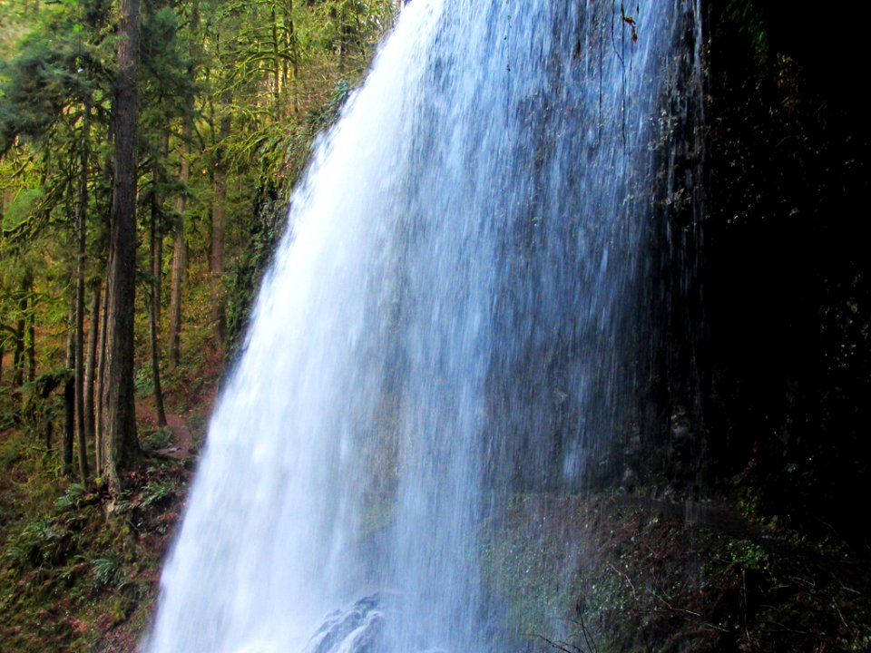 Middle North Falls at Silver Falls SP in Oregon