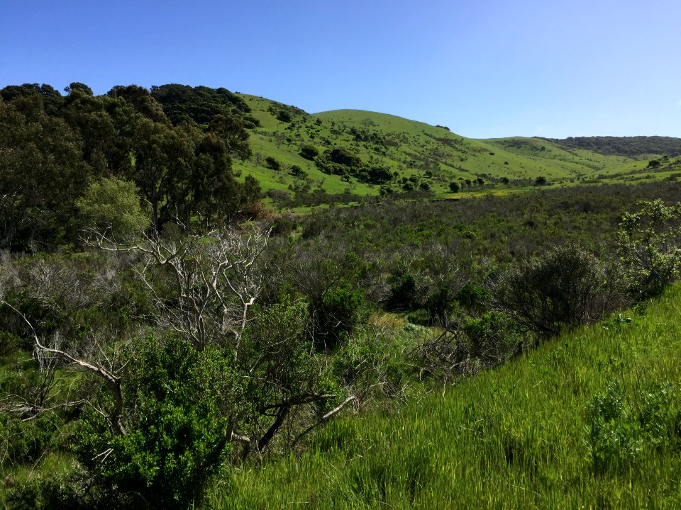 Fort Ord National Monument