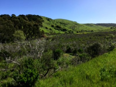 Fort Ord National Monument photo