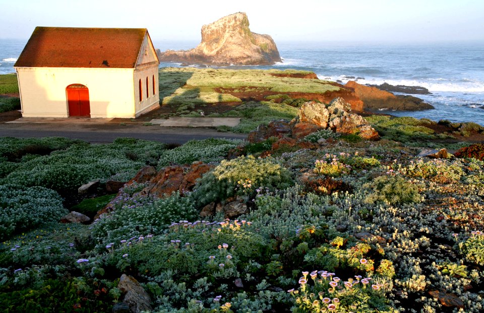 Piedras Blancas Light Station