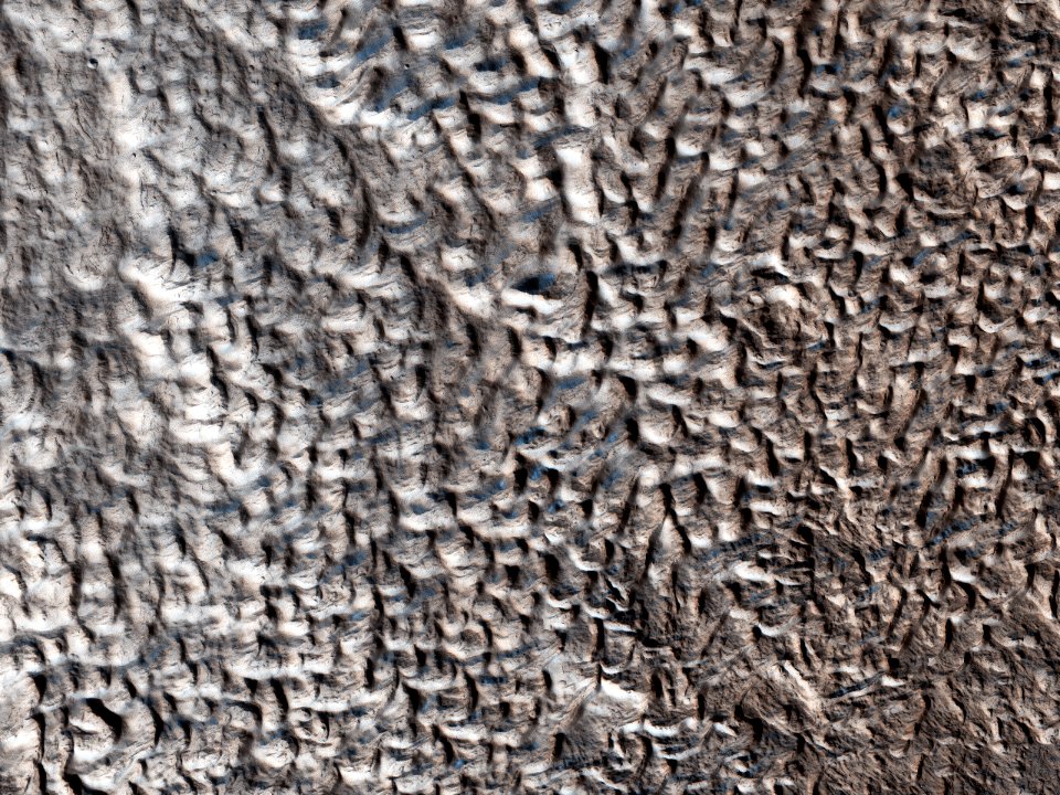 The Slow Charm of Brain Terrain