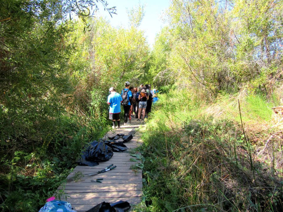 #NPLD 2017: Caring for Big Morongo Canyon Preserve