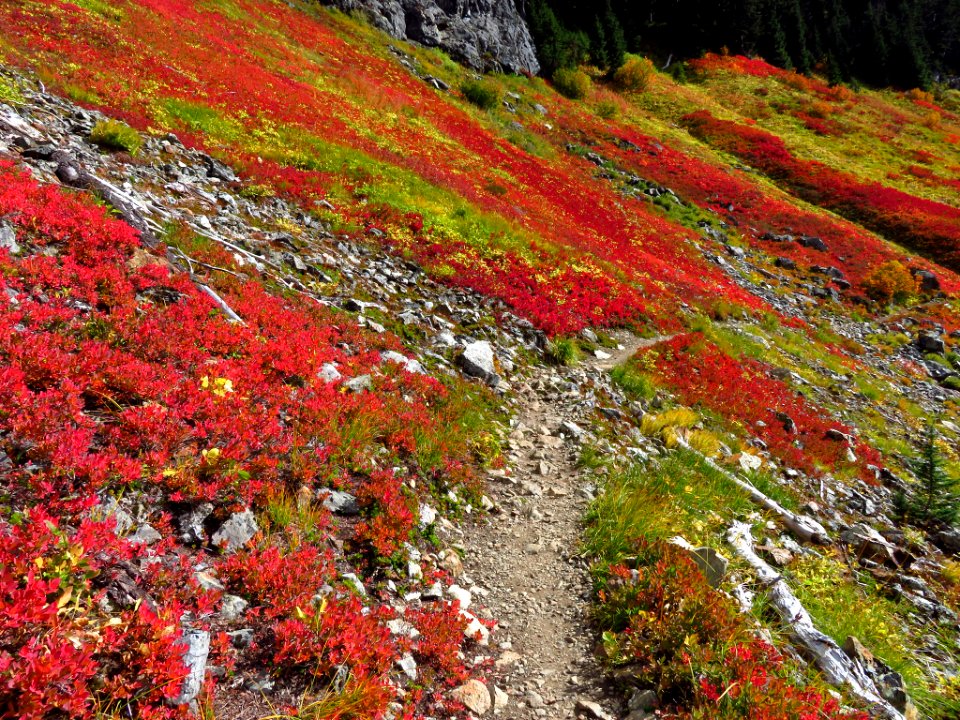 Autumn at Yellow Aster Butte in WA