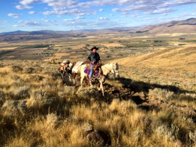 Bald Mountain