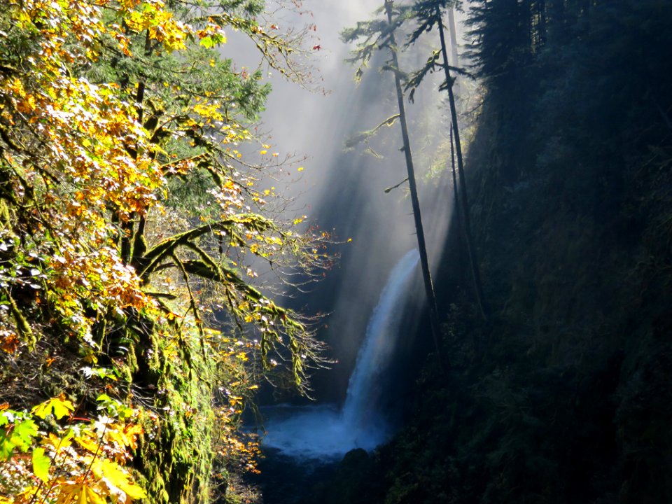 Metlako Falls at Eagle Creek in Oregon