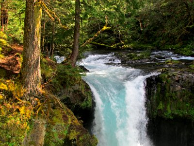 Spirit Falls Trail on Little White Salmon River in WA