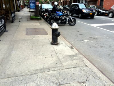 IMG 7015