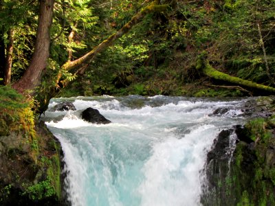 Spirit Falls Trail on Little White Salmon River in WA