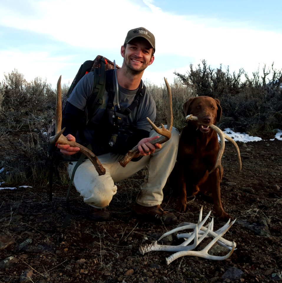 Shed Hunting in Bald Mountain in Eagle Lake Field Office