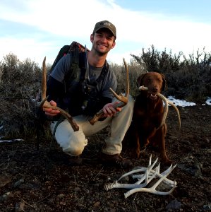 Shed Hunting in Bald Mountain in Eagle Lake Field Office