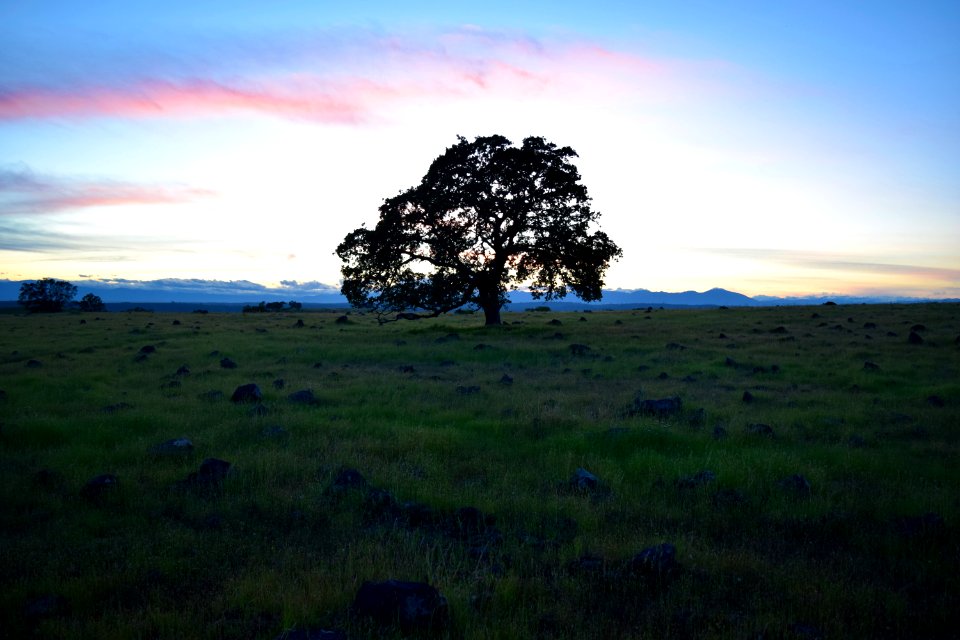 Iron Canyon Trail photo