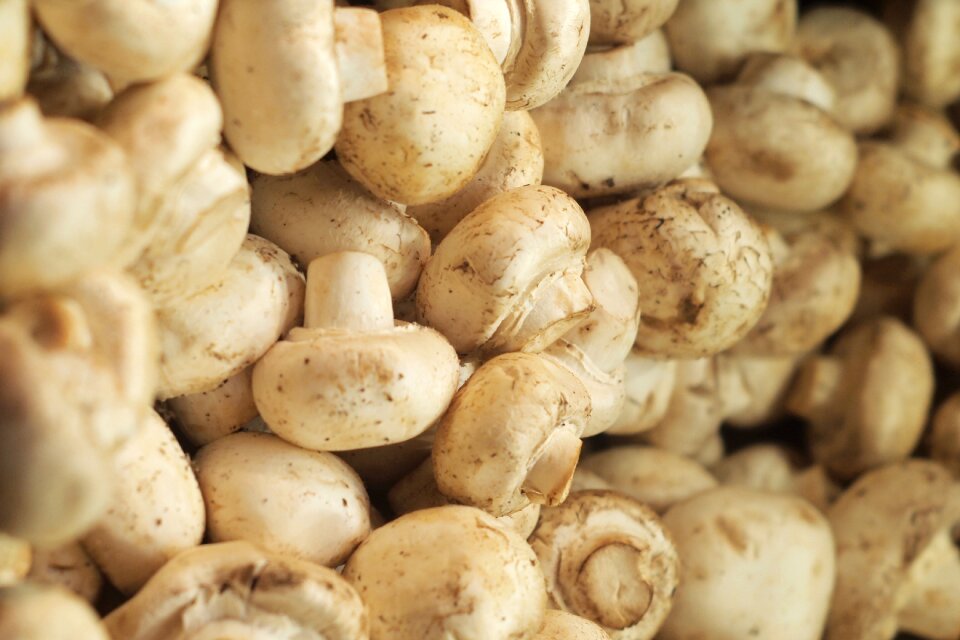 Vegetable fresh white