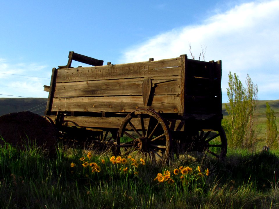 Evening at Dalles Mt. Ranch in WA