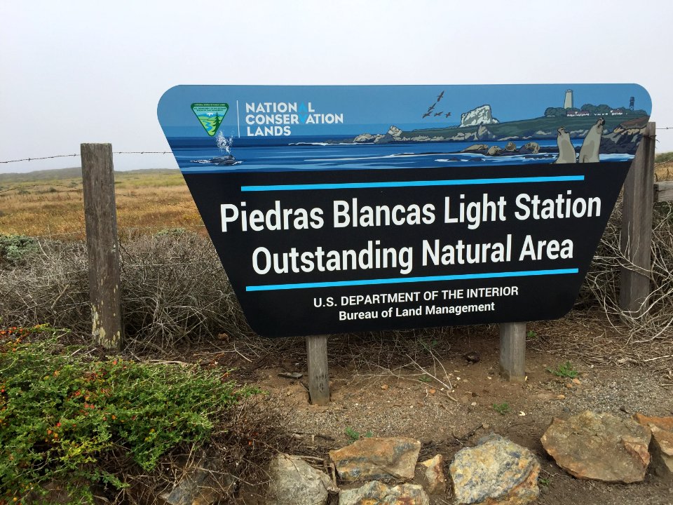 Piedras Blancas Light Station