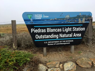 Piedras Blancas Light Station photo