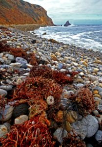 California Coastal National Monument at Point Vicente