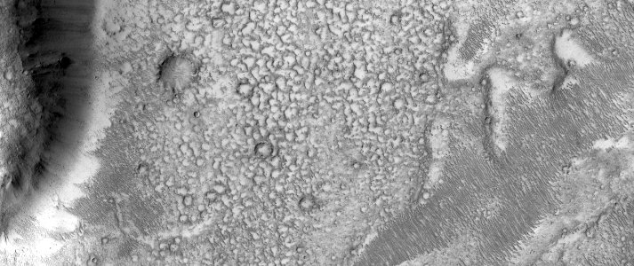 A Pitted Surface in Tartarus Montes
