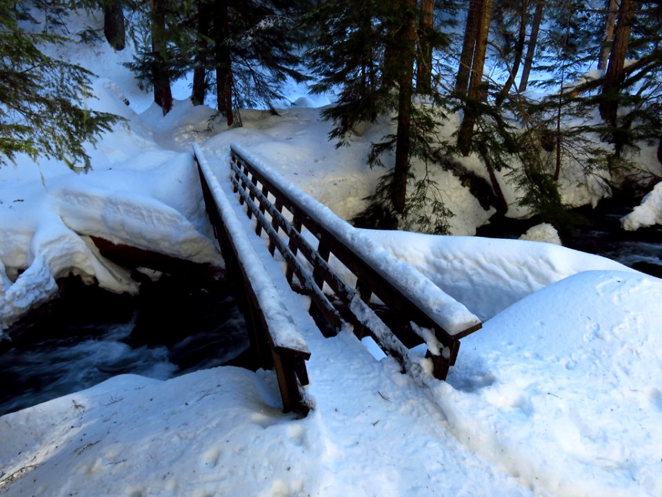 Tamanawas Falls Trail at Mt. Hood in Oregon