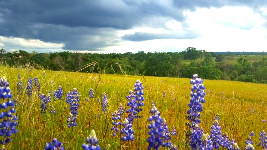 Iron Canyon Trail photo