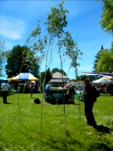 2017 Modoc County Children's Fair and Sportsman Expo