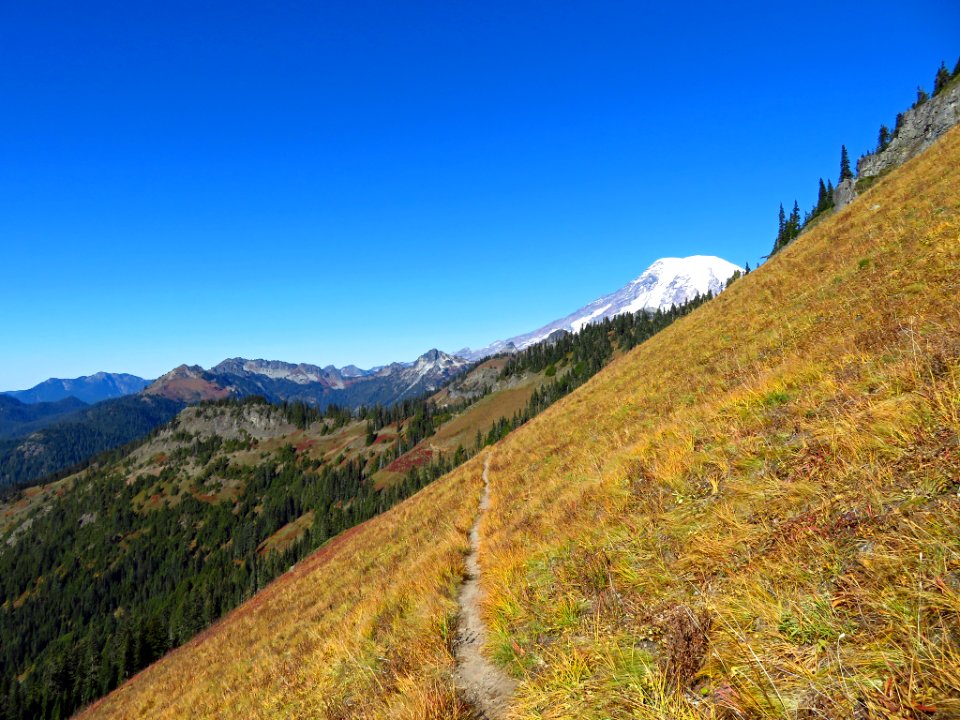 Mt. Rainier at Tatoosh Ridge in WA