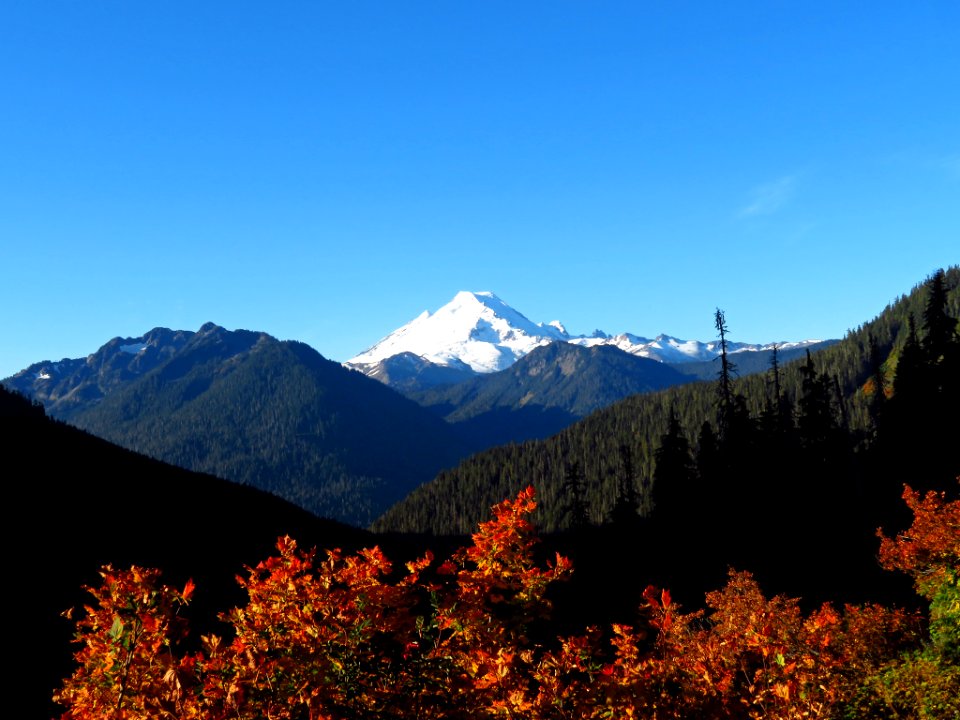 Mt. Baker in WA