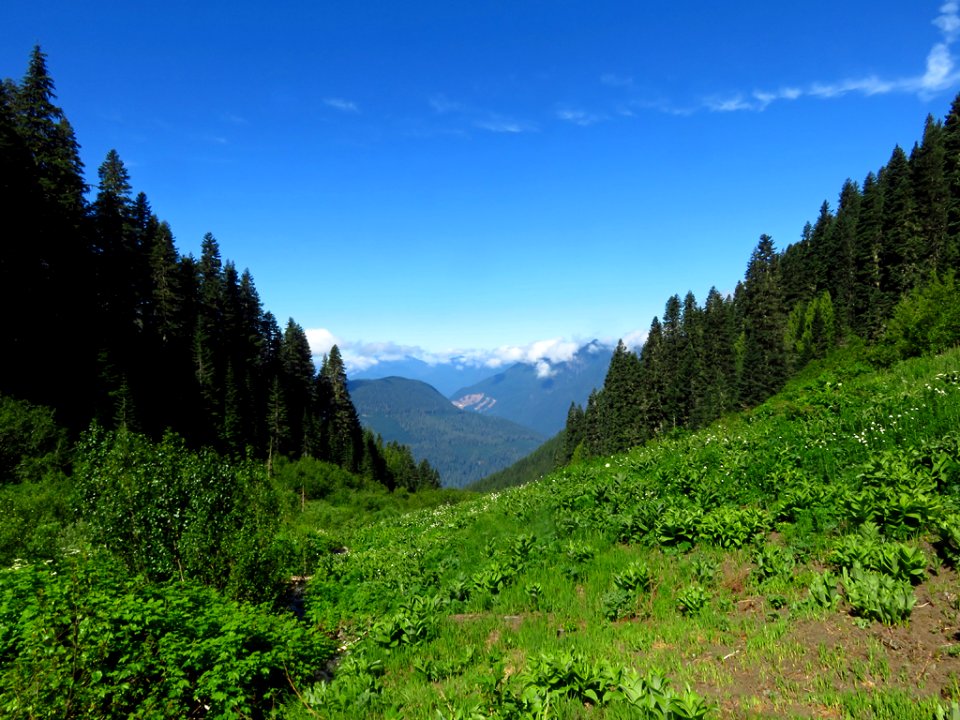 Hidden Lake Trail at North Cascades NP in WA